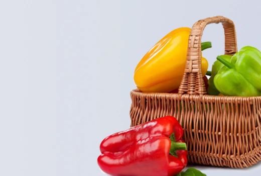 cms-banner1